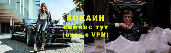 мескалин Сясьстрой