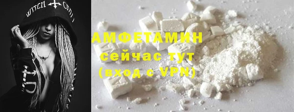 индика Тавда