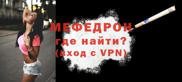 индика Тавда