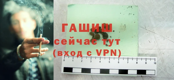 индика Тавда