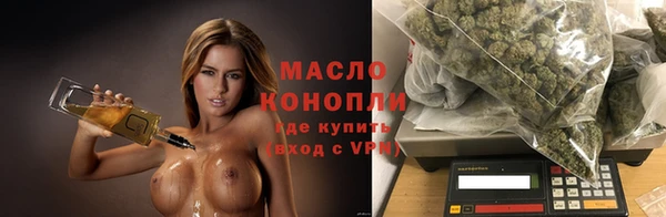 индика Тавда