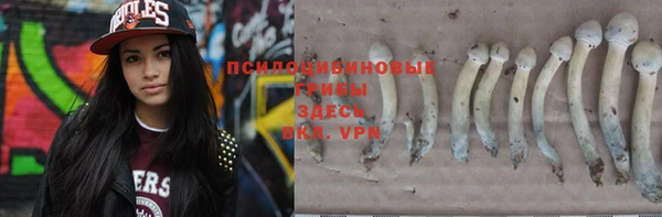 ешки Тайга