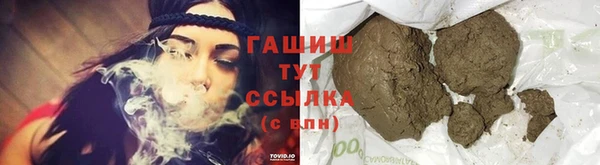 индика Тавда