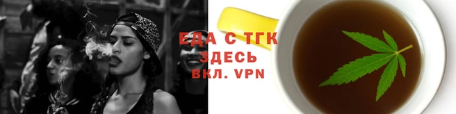 индика Тавда
