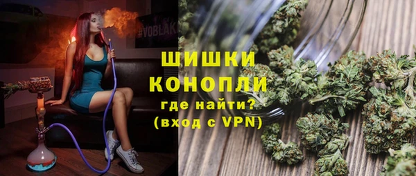 ешки Тайга