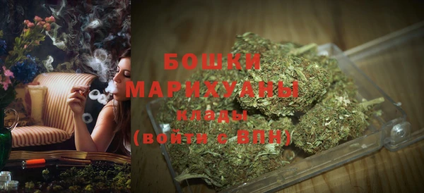 индика Тавда