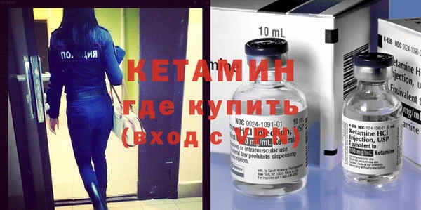 индика Тавда