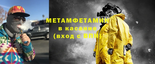индика Тавда