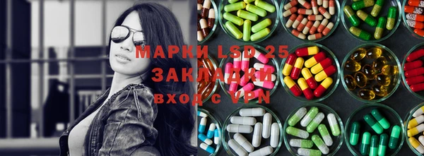 ешки Тайга