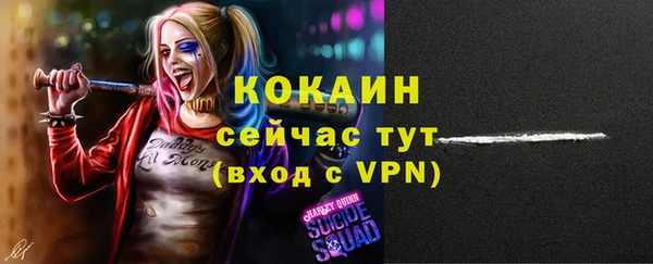 ешки Тайга