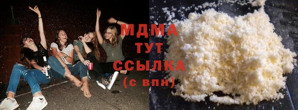 индика Тавда