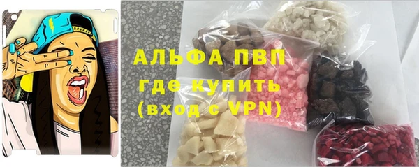 ешки Тайга