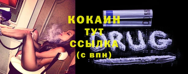 ешки Тайга