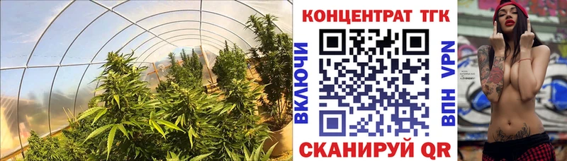 купить   Тогучин  Дистиллят ТГК THC oil 